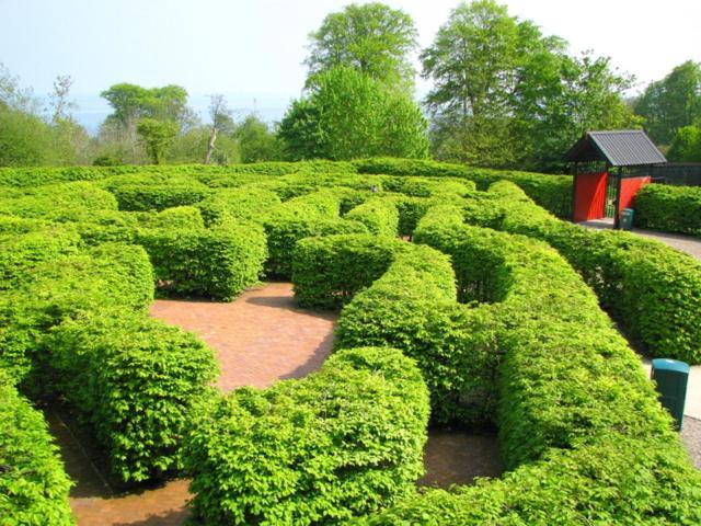 Lurig View B&B Glenariffe Buitenkant foto