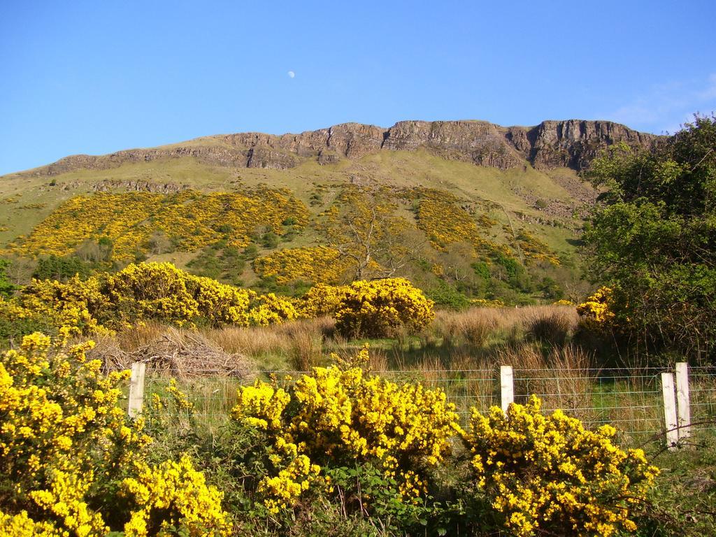 Lurig View B&B Glenariffe Buitenkant foto